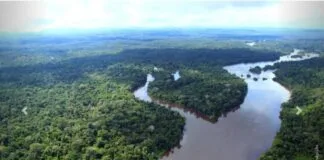Belém sedia Conferência de Desenvolvimento Sustentável da Amazônia Belém sedia Conferência de Desenvolvimento Sustentável da Amazônia