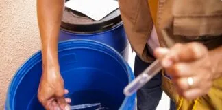 Saúde passa a recomendar testes rápidos para diagnóstico de dengue Saúde passa a recomendar testes rápidos para diagnóstico de dengue