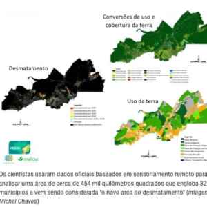 Desmatamento avança em 76% do futuro polo agrícola na Amazônia