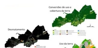 Desmatamento avança em 76% do futuro polo agrícola na Amazônia Desmatamento avança em 76% do futuro polo agrícola na Amazônia