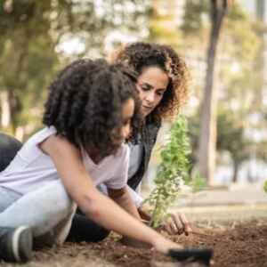 Como explicar a importância da sustentabilidade para as crianças