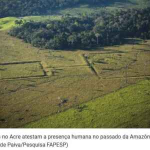 Arqueologia Amazônica e o Futuro da Floresta como tema da 2ª Conferência FAPESP 2024