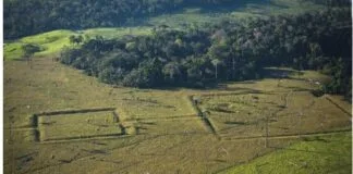 Arqueologia Amazônica e o Futuro da Floresta como tema da 2ª Conferência FAPESP 2024 Arqueologia Amazônica e o Futuro da Floresta como tema da 2ª Conferência FAPESP 2024