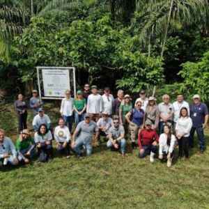 Prospecção de Sistemas Agroflorestais no Pará pela Embrapa Cocais