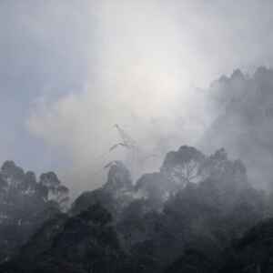 Projeto de Lei ameaça desproteger 48 milhões de hectares de campos nativos