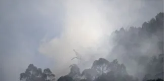Projeto de Lei ameaça desproteger 48 milhões de hectares de campos nativos Projeto de Lei ameaça desproteger 48 milhões de hectares de campos nativos