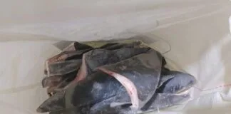 Limites de Captura de Peixes Estabelecidos para 2024 Limites de Captura de Peixes Estabelecidos para 2024