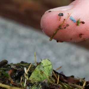 Cientistas encontram evidências de contaminação por microplásticos em amostras arqueológicos