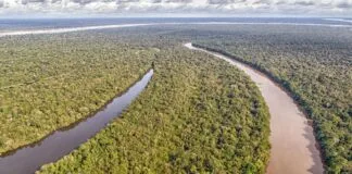 Governo Federal destina R$ 17 bi para desenvolvimento na Amazônia Legal Governo Federal destina R$ 17 bi para desenvolvimento na Amazônia Legal