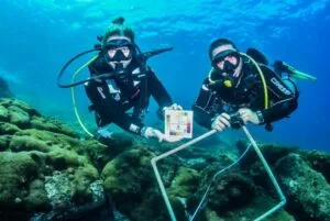 Captura de tela 2024 03 28 152431