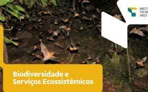 A Ciência por trás do Cacau e do Chocolate