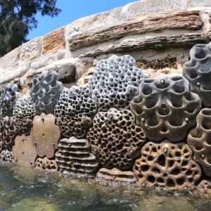 Paredões vivos para aumentar o habitat marinho