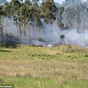Mapas apavorantes mostram áreas que experimentarão temperaturas recordes este ano graças ao El Niño