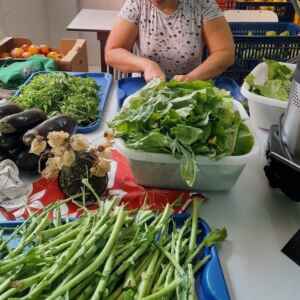 Connecting Food distribuiu em um ano 91 t de alimentos