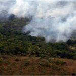 Ibama Cria a Plataforma Recooperar para Monitorar Recuperação Ambiental