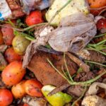 1 bilhão de refeições descartadas por dia enquanto milhões passam fome