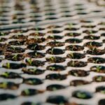 Arábia Saudita Amplia Importações de Sementes Brasileiras