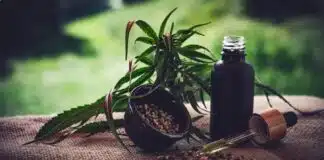 França vai liberar cannabis para fins terapêuticos a partir de 2025 França vai liberar cannabis para fins terapêuticos a partir de 2025