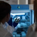 Características para um plástico alternativo ser genuinamente biodegradável e sustentável