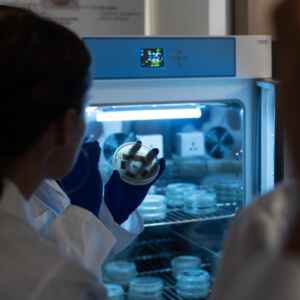 Características para um plástico alternativo ser genuinamente biodegradável e sustentável