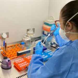 Resultados promissores de vacina de DNA contra o zika em ensaios com camundongos