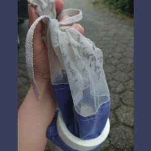 Rastreamento em Tempo Real de Arbovírus, Mosquitos e Potenciais Hospedeiros