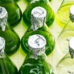 Algas verdes e bactérias contribuem juntas para a proteção climática