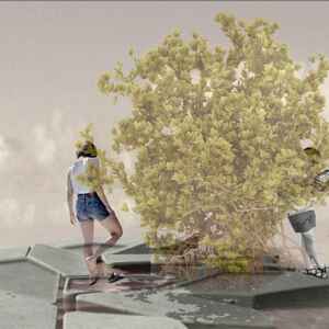 Florestas oceânicas: como os manguezais “flutuantes” poderiam proporcionar uma ampla gama de benefícios ecológicos e sociais