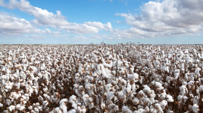 Captura de tela 2024-04-12 161142