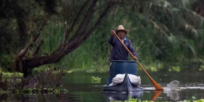 Captura de tela 2024-04-12 163122