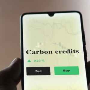 Certificadora de Estratégias Net Zero Enfrenta Controvérsia com Créditos de Carbono