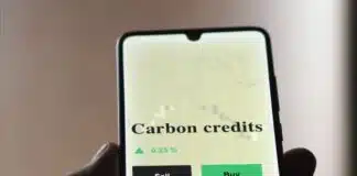 Certificadora de Estratégias Net Zero Enfrenta Controvérsia com Créditos de Carbono Certificadora de Estratégias Net Zero Enfrenta Controvérsia com Créditos de Carbono