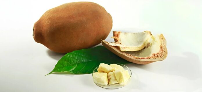 Captura de tela 2024-04-15 122534