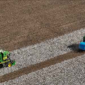 Investigação Revela Deficiências na Certificação do Algodão Brasileiro Utilizado por Zara e H&M