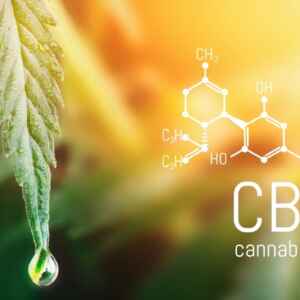 Empresa Colombiana de Cannabis Medicinal Quer Investir R$ 150 Mi no Brasil