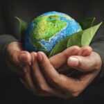 4 Startups que Estão Transformando o Meio Ambiente Startups que Estão Transformando o Meio Ambiente