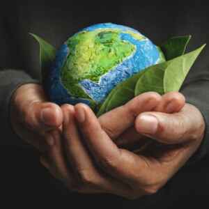 4 Startups que Estão Transformando o Meio Ambiente Startups que Estão Transformando o Meio Ambiente