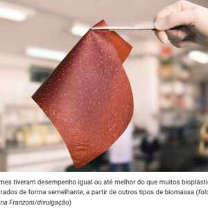 Cientistas convertem casca de banana a embalagem biodegradável para alimentos Os filmes tiveram desempenho igual ou até melhor do que multos bioplásticos preparados de forma semelhante, a partir de outros tipos de biomassa