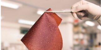 Os filmes tiveram desempenho igual ou até melhor do que multos bioplásticos preparados de forma semelhante, a partir de outros tipos de biomassa