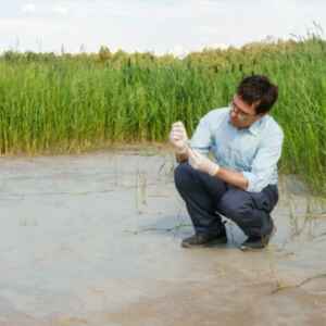 FAPESP e Nerc do Reino Unido Lançam Chamada Para Projetos em Ciências Ambientais