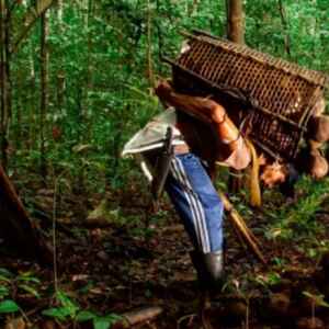 Embrapa Amazônia Ocidental Lidera Projeto Que Explora a Sinergia entre Cooperativismo e Bioeconomia local Embrapa Amazônia Ocidental