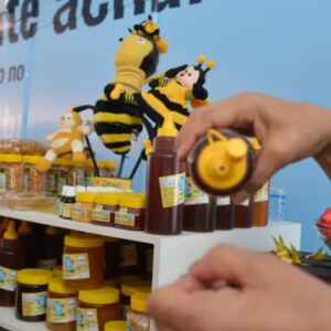 Programa Acredita Facilita o Acesso ao Crédito e Renegociação de Dívidas para Pequenos Negócios