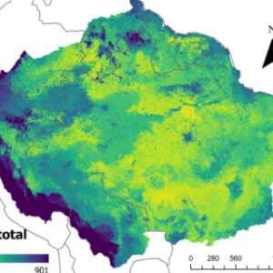 IA Revela Baixos Níveis de Fósforo na Amazônia