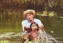 Carrefour Lança Gôndolas com Produtos de Comunidades da Amazônia comunidades tradicionais da Amazônia