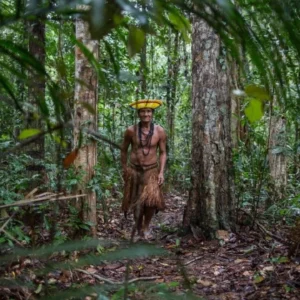 Tratados de Patentes para Povos Tradicionais patentes dos povos tradicionais