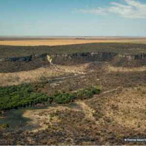 Programa de Redução do Desmatamento na Amazônia Inicia em 12 de Abril