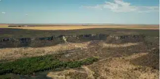 Programa de Redução do Desmatamento na Amazônia Inicia em 12 de Abril Programa de Redução do Desmatamento na Amazônia Inicia em 12 de Abril