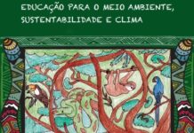 Implementação da educação ambiental em escolas estaduais do Pará Educação