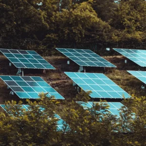 Cidade espanhola planeja converter cemitérios em fazenda solar urbana