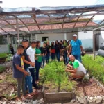 Horta escolar AMAZONIATEC